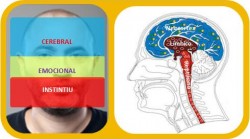 cerebro triuno